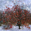 An Apple of a Day Photograph by Julie Lueders An Apple of a Day Photograph by Julie Lueders