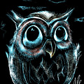 An owl friend by Alessandro Della Pietra