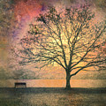 And The Morning Is Perfect In All Her Measured Wrinkles by Tara Turner And The Morning Is Perfect In All Her Measured Wrinkles by Tara Turner