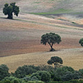 Andalusian Landscape Photograph by Heiko Koehrer-Wagner Andalusian Landscape Photograph by Heiko Koehrer-Wagner