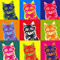 Andy Warhol Cat Photograph by Warren Photographic Andy Warhol Cat Photograph by Warren Photographic
