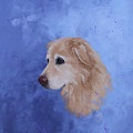 Angel, a Golden Retriever Painting by Monica Burnette Angel, a Golden Retriever Painting by Monica Burnette