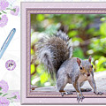 Animal Writes - OOF Photograph by Brian Wallace Animal Writes - OOF Photograph by Brian Wallace