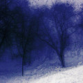 Another Blue Day Photograph by Julie Lueders Another Blue Day Photograph by Julie Lueders