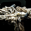 Another Piece of Rope Photograph by Adriana Zoon Another Piece of Rope Photograph by Adriana Zoon