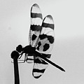 Antena Ornament by Kim Henderson Antena Ornament by Kim Henderson