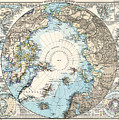 Antique Maps - Old Cartographic maps - Antique Map of the North Pole and the Arctic Region Drawing by Studio Grafiikka Antique Maps - Old Cartographic maps - Antique Map of the North Pole and the Arctic Region Drawing by Studio Grafiikka