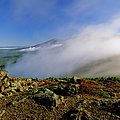 Appalachian Trail - White Mountains New Hampshire USA by Erin Paul Donovan Appalachian Trail - White Mountains New Hampshire USA by Erin Paul Donovan
