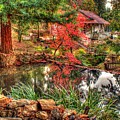 Apple Hill Pond by Randy Wehner