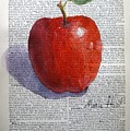 Kattywompus Apple on Antique Paper Painting by Maria Hunt Kattywompus Apple on Antique Paper Painting by Maria Hunt