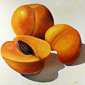 Apricots by Shannon Grissom Apricots by Shannon Grissom