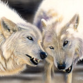 Arctic Pair by Sandi Baker Arctic Pair by Sandi Baker