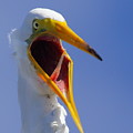 Are You Serious by Andrew McInnes Are You Serious by Andrew McInnes