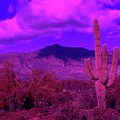 Arizona Purple Haze Photograph by Judy Kennedy Arizona Purple Haze Photograph by Judy Kennedy