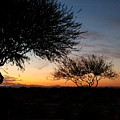 Arizona Sunset Photograph by Vic Ritchey Arizona Sunset Photograph by Vic Ritchey