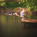 Around the river Photograph by Jaroslav Buna Around the river Photograph by Jaroslav Buna