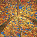 Ascension Painting by Johnathan Harris Ascension Painting by Johnathan Harris