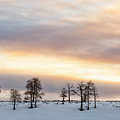 Aspen Hill at Sunset by Denise Bush