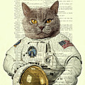 Astronaut Cat Illustration by Madame Memento Astronaut Cat Illustration by Madame Memento