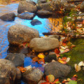Autumn By The Creek by Tara Turner Autumn By The Creek by Tara Turner