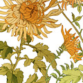 Autumn Chrysanthemums I by Mindy Sommers Autumn Chrysanthemums I by Mindy Sommers