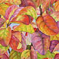 Autumn Crepe Myrtle Painting by Lucy Arnold Autumn Crepe Myrtle Painting by Lucy Arnold