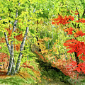 Autumn Fun by Mary Tuomi Autumn Fun by Mary Tuomi