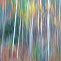 Autumn Impression by Bill Morgenstern Autumn Impression by Bill Morgenstern