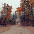 Autumn in Montana Photograph by Cathy Anderson Autumn in Montana Photograph by Cathy Anderson