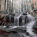 Autumn in Spring Infrared Photograph by Brian Hale Autumn in Spring Infrared Photograph by Brian Hale