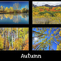 Autumn Photograph by James BO Insogna Autumn Photograph by James BO Insogna