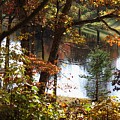 Autumn Lake With Oil Painting Effect by William Kuta Autumn Lake With Oil Painting Effect by William Kuta