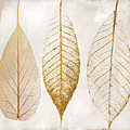 Autumn Leaves III Fallen Gold Painting by Mindy Sommers Autumn Leaves III Fallen Gold Painting by Mindy Sommers