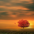 Autumn Photograph by Lourry Legarde Autumn Photograph by Lourry Legarde