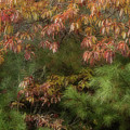 Autumn Mixing Photograph by Mike Eingle Autumn Mixing Photograph by Mike Eingle