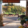 Autumn Morning on Mackinac Island Photograph by Jackson Pearson Autumn Morning on Mackinac Island Photograph by Jackson Pearson