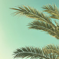 Autumn Palms II by Cassia Beck Autumn Palms II by Cassia Beck