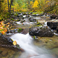Autumn Passing by Mike Dawson Autumn Passing by Mike Dawson