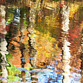 Autumn Reflections-2 by Diane Macdonald