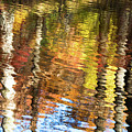 Autumn Reflections-3 by Diane Macdonald