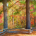 Autumn Split Rail Fence Digital Watercolor by Randy Herring Autumn Split Rail Fence Digital Watercolor by Randy Herring