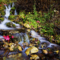 Autumn Stream by Chad Dutson Autumn Stream by Chad Dutson