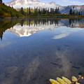 Autumn Suspended by Mike Dawson Autumn Suspended by Mike Dawson