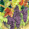 Autumn Vineyard in its Glory - Batik Style Painting by Audrey Jeanne Roberts Autumn Vineyard in its Glory - Batik Style Painting by Audrey Jeanne Roberts