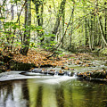 Autumn Water way at Offas Dyke Photograph by Spikey Mouse Photography Autumn Water way at Offas Dyke Photograph by Spikey Mouse Photography
