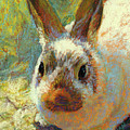 Babette Pastel by Rita Kirkman Babette Pastel by Rita Kirkman