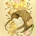 Baby Chicks by Danette Smith Baby Chicks by Danette Smith