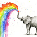 Baby Elephant Spraying Rainbow Painting by Olga Shvartsur Baby Elephant Spraying Rainbow Painting by Olga Shvartsur