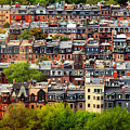Back Bay Photograph by Rick Berk Back Bay Photograph by Rick Berk