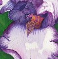 Backyard Beauty Painting by Lori Taylor Backyard Beauty Painting by Lori Taylor